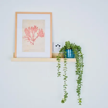 Seabreeze Nest By Feel アパート *